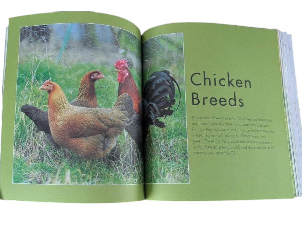 Vintage Keeping Chickens Book Bundle: Gift for Chicken Keepers