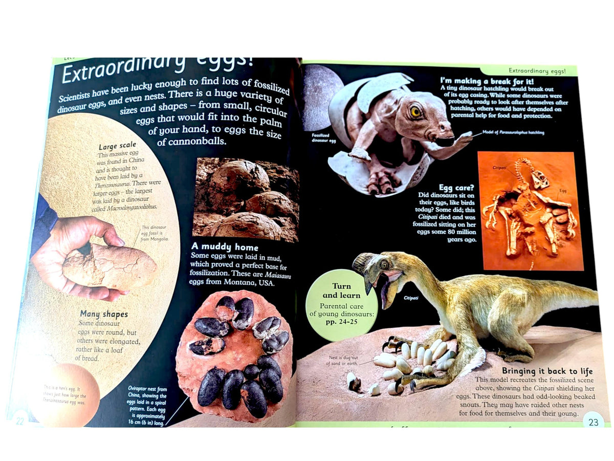 Dinosaur Book Bundle: Children's Gift Set with Toy Dinosaurs