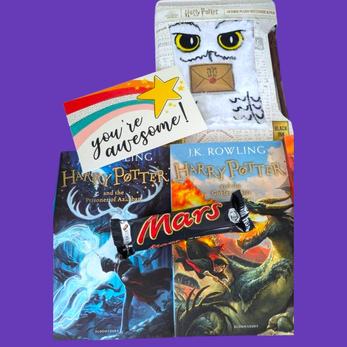 Harry Potter Book Bundle and Interactive Hedwig Toy