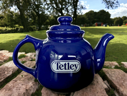 Vintage Wade Tetley Teapot & Egg Cup Set: Tea for Two