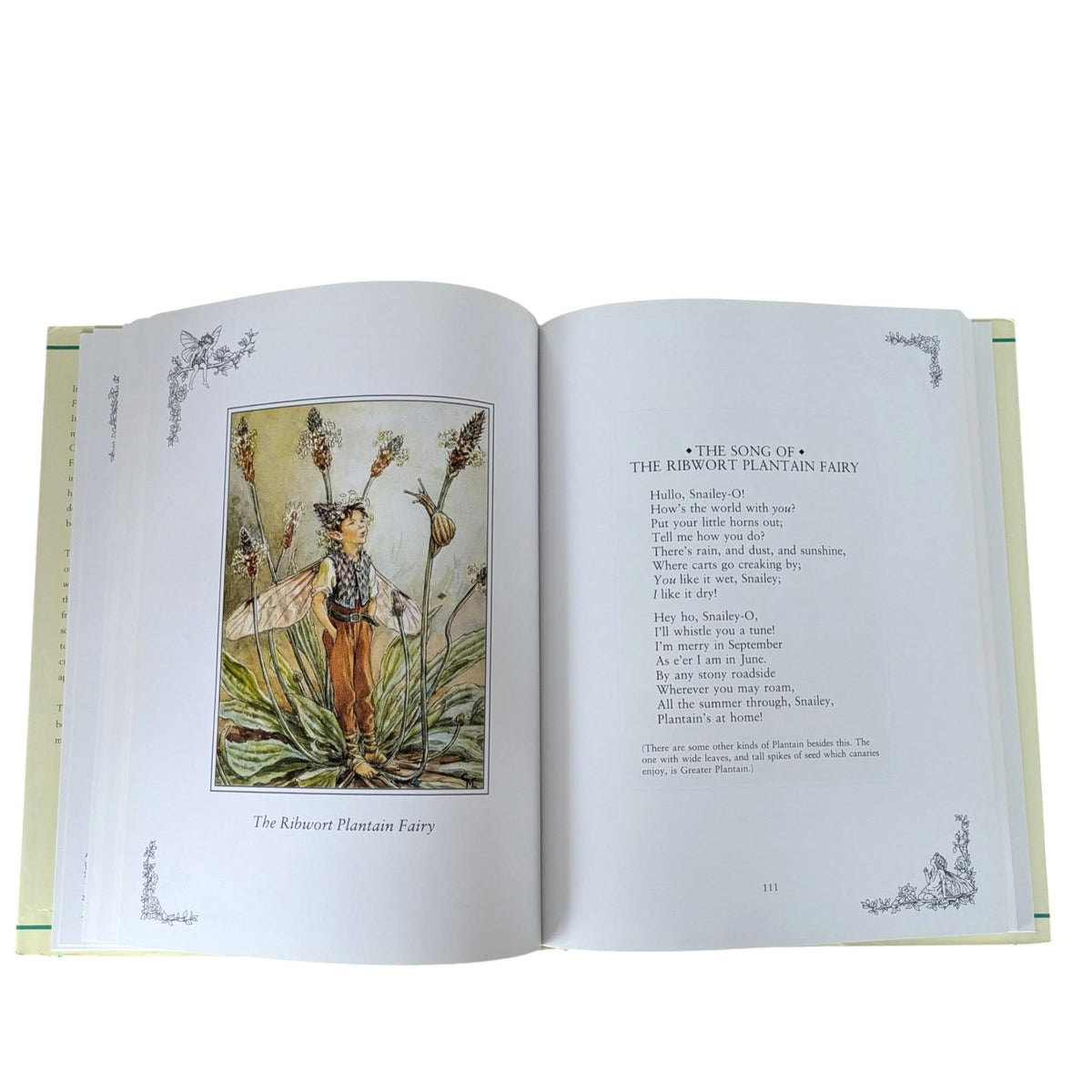 A Flower Fairies Treasury by Cicely Mary Barker