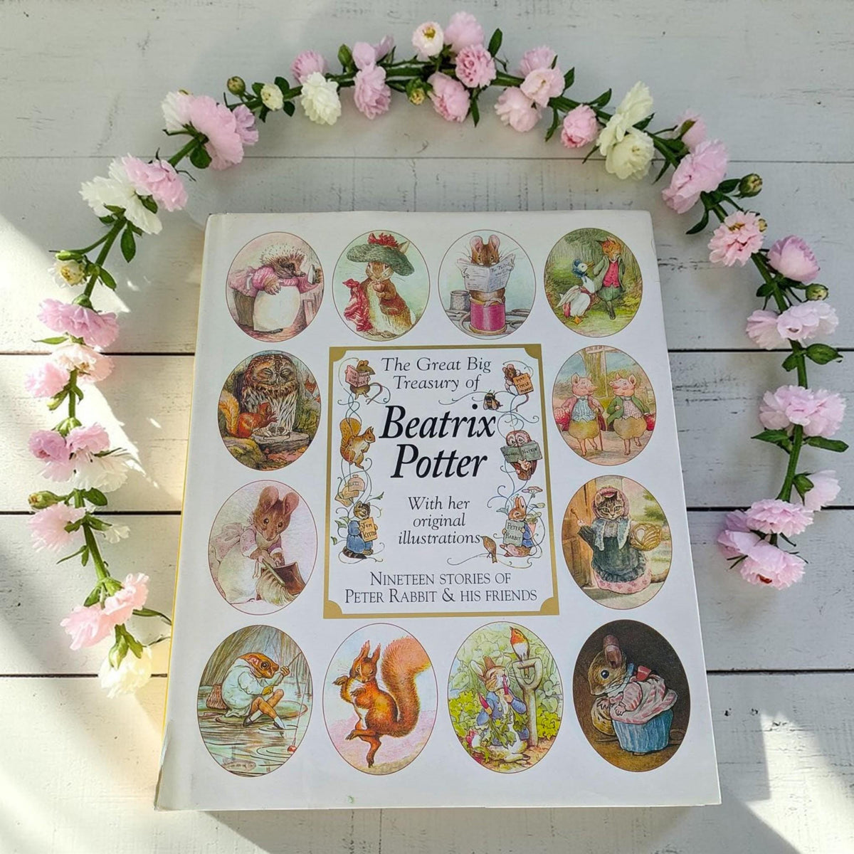 Beatrix Potter Treasury – Peter Rabbit Classic Children’s Book Illustrations