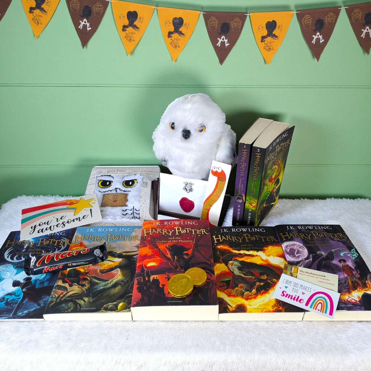 Harry Potter Book Bundle and Interactive Hedwig Toy