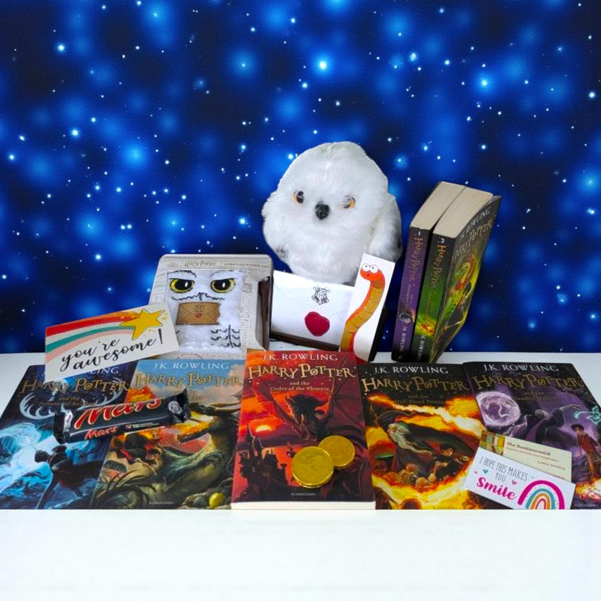 Harry Potter Book Bundle and Interactive Hedwig Toy