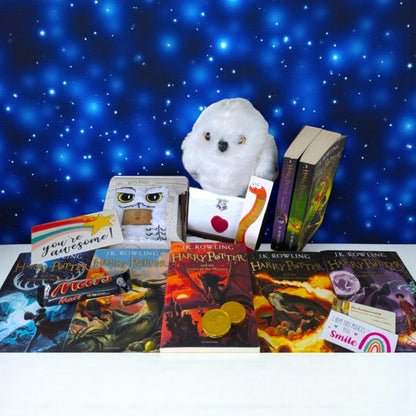 Harry Potter Book Bundle and Interactive Hedwig Toy