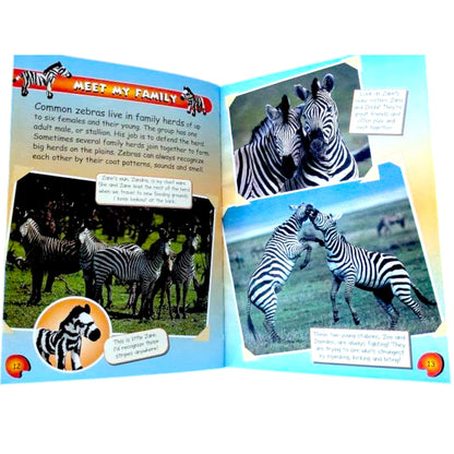 Children's Animal Book Bundle: Amazon Rainforest & Zebra