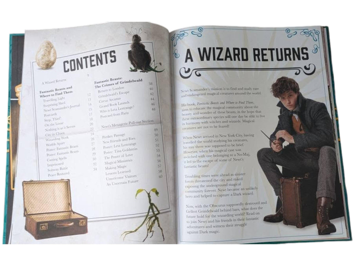 Harry Potter Books, Giant Bundle and Hedwig Plushie Cushion