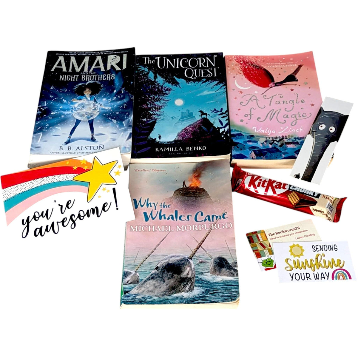 Children's Book Bundle: Preloved Junior Chapter Books,