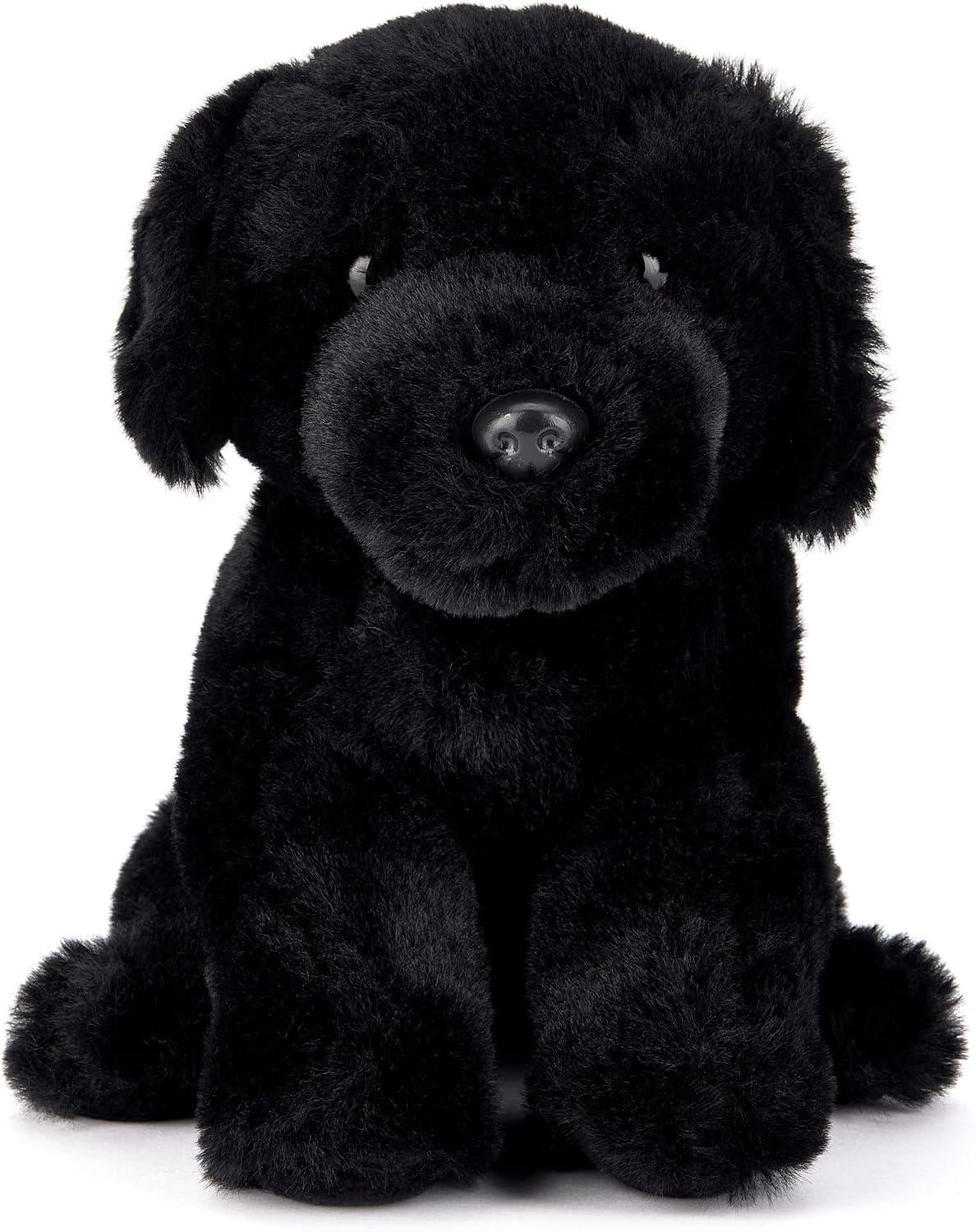 Hairy Maclary Children's Book Gift Set | 10 Lynley Dodd Books & Cuddly Black Dog Soft Toy | Storytime Bundle | Birthday Gift for Kids