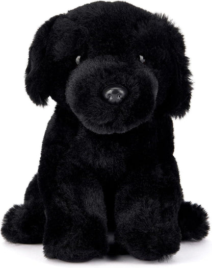 Hairy Maclary Children's Book Gift Set | 10 Lynley Dodd Books & Cuddly Black Dog Soft Toy | Storytime Bundle | Birthday Gift for Kids