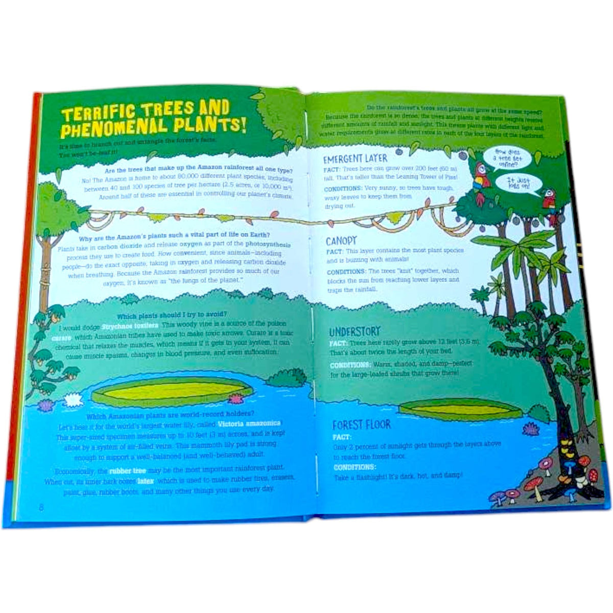 Children's Animal Book Bundle: Amazon Rainforest & Zebra