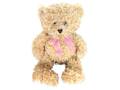 Teddy Bear Storytime Gift Set – Plush Toy & Picture Books Bundle