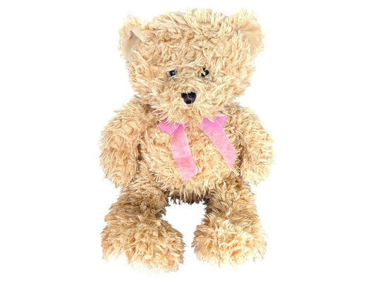 Teddy Bear Storytime Gift Set – Plush Toy & Picture Books Bundle