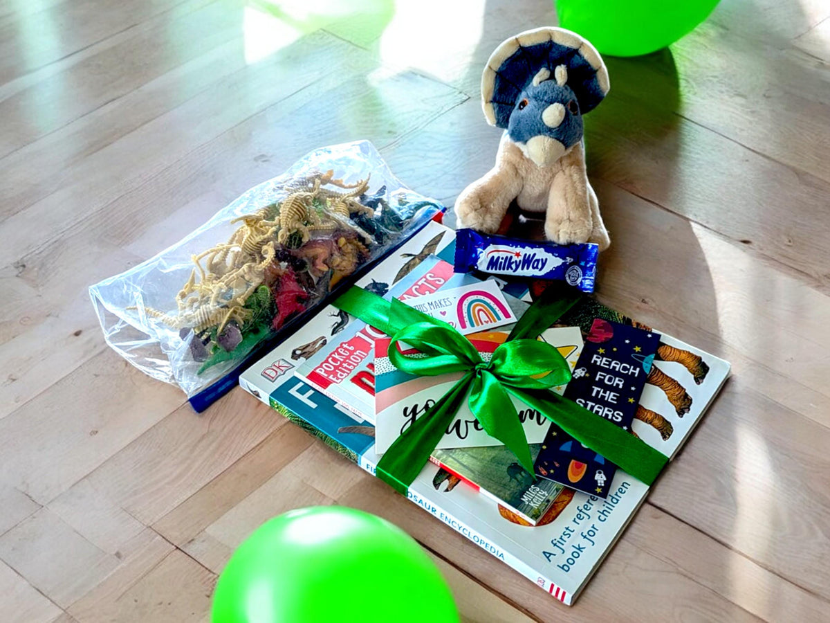 Dinosaur Book Bundle: Children's Gift Set with Toy Dinosaurs