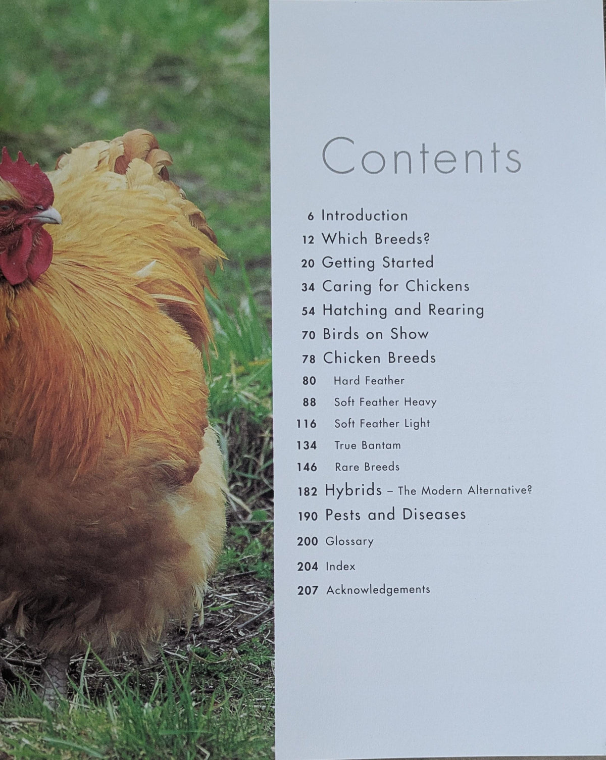 Vintage Keeping Chickens Book Bundle: Gift for Chicken Keepers