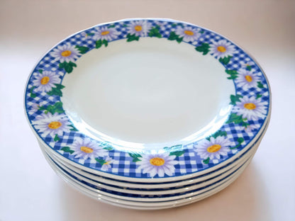 Vintage Crown Dynasty Blue Daisy Tableware: English China