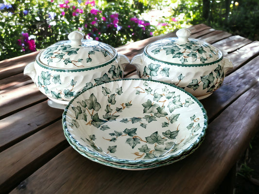 Vintage BHS Country Vine Dinnerware: Green Ivy China