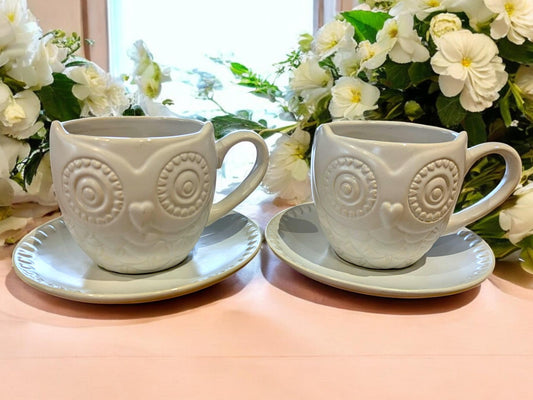 Vintage Owl Cups and Saucers, Pair of Mugs