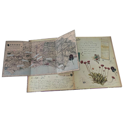 A Flower Fairies Journal (also known as Fairyopolis) by Cicely Mary Barker.