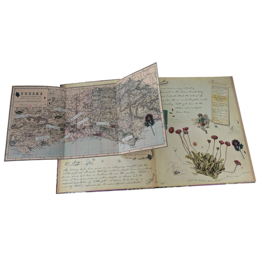 A Flower Fairies Journal (also known as Fairyopolis) by Cicely Mary Barker.