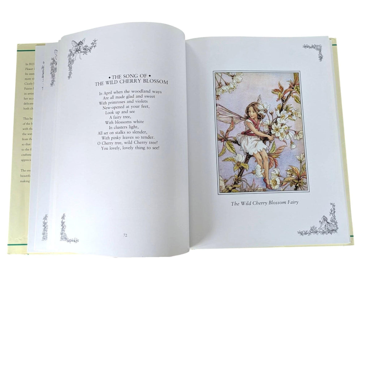 A Flower Fairies Treasury by Cicely Mary Barker